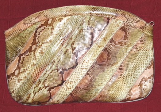 Snakeskin Bag